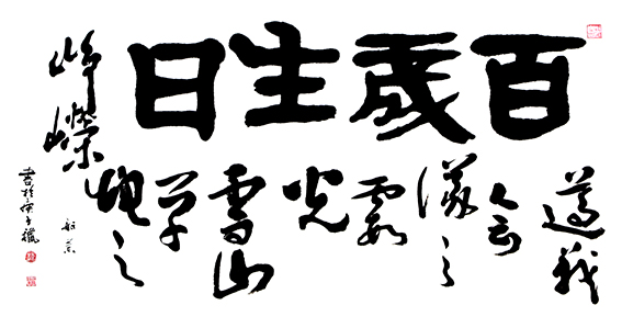 赵珂作品 《百岁生日》